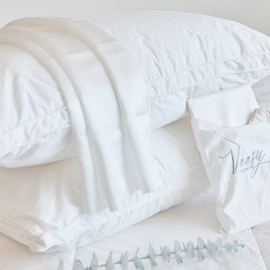 2 ALMOHADAS + 2 FUNDAS DE SEDA NATURAL IVORY